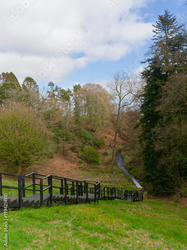 The steep wooden steps down the Grassy Bank of the Crombie Dam providing access to the Dam outlet into the Crombie Burn.