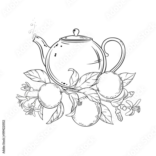 Orange Tea in Teapot aroma beverage Outline Illustration. Vector isolated for Design and Decoration for Cafeteria, Posters, Banners, Cards.