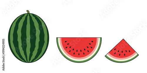 Watermelon fruit set whole and slices fresh summer juicy food vector illustration isolated
