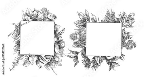 Detailed hand-drawn woodland botanical square frames featuring pine needles, ferns, and rustic leaves. Perfect for organic cosmetics packaging, eco-friendly branding, wedding invitations, and natural 