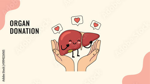 Human hands gently cradle a smiling cartoon liver with "ORGAN DONATION" text, surrounded by hearts, advocating for organ donation and saving lives.