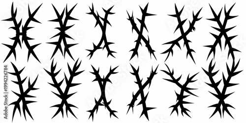 Sharp black thorns arranged in clusters on a white background