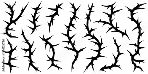 A collection of sharp black thorns arranged on a white background