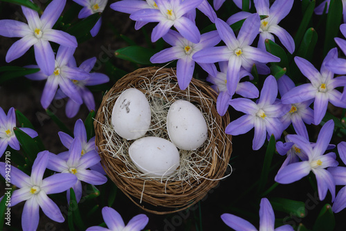 Three white eggs in a bird nest placed among purple spring flowers.