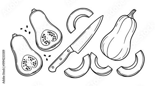 Hand drawn vector illustration of a butternut squash with a knife and seeds