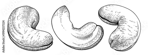 Cashew nuts set, hand drawn engraving style illustration, black and white, isolated on white