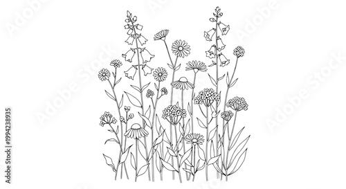 Flowers hand-drawn set with delicate line art and natural details featuring botanical, illustration, sketch with plants and floral elements for