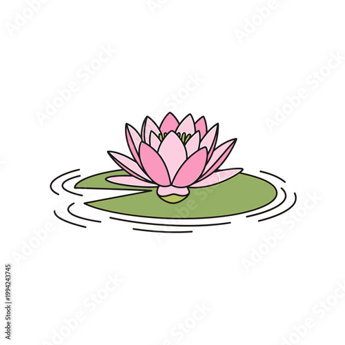 Pink lotus flower on green lily pad vector illustration