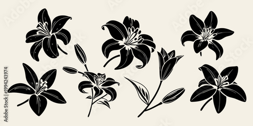 Elegant black and white floral arrangement featuring various lily blooms