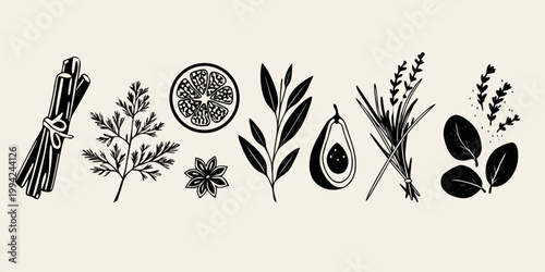 Botanical illustration of spices herbs and fruits in black and white