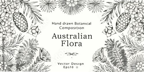 Detailed botanical illustration featuring australian flora in monochrome style