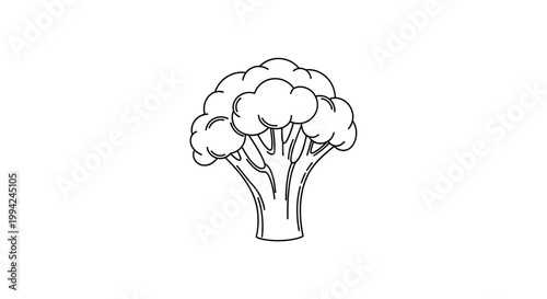 Simple Broccoli Vegetable Line Art Illustration