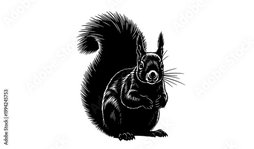 Tableau sur toile Detailed squirrel silhouette vector illustration sitting pose bushy tail wildlif