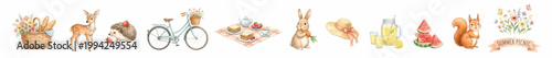 Cute woodland animals, picnic, summer nature set in soft watercolor style. Collection of Vector illustrations for invitation, card, poster, banner, decoration
