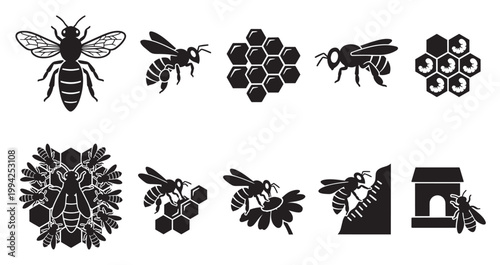 A collection of black silhouette icons depicting bees, honeycombs, and a hive, illustrating the life cycle and activity of bees.