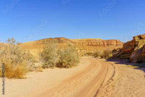 Desert landscape, inside Makhtesh (crater) Ramon
