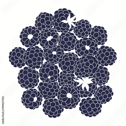Minimalist blackberry cluster vector illustration isolated on white