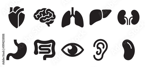 A collection of black silhouette icons representing key human organs, including heart, brain, lungs, liver, kidneys, stomach, intestines, eye, and ear, set against a clean white background for clear.