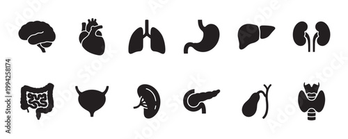 A collection of black silhouette icons representing various human internal organs, including the brain, heart, lungs, stomach, liver, kidneys, intestines, bladder, spleen, pancreas, gallbladder.