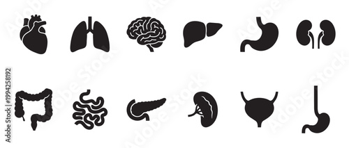 A collection of simple black silhouette icons representing various human internal organs, including the heart, lungs, brain, liver, stomach, kidneys, intestines, pancreas, spleen, and bladder.