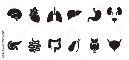 A collection of black silhouette icons representing various human organs, including the brain, heart, lungs, liver, stomach, kidneys, pancreas, intestines, gallbladder, thyroid, and bladder.