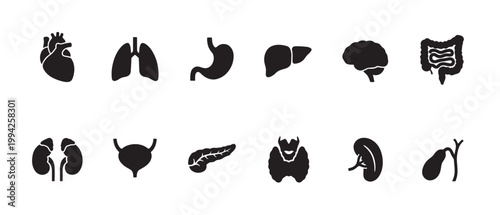 A clean, minimalist collection of black silhouette icons representing various human internal organs against a white background, ideal for medical and educational use.