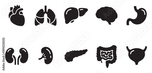 A collection of black silhouette icons representing various human internal organs on a white background, ideal for medical and educational use.