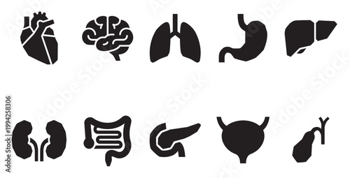 A collection of black silhouette icons representing key human organs including the heart, brain, lungs, stomach, liver, kidneys, intestines, pancreas, bladder, and gallbladder.