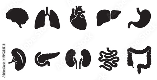 A collection of black silhouette icons of human internal organs against a white background, including brain, lungs, heart, liver, stomach, kidney, pancreas, intestines, and colon.