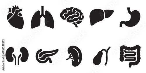 A collection of black and white minimalist icons representing various human organs, perfect for medical and educational materials.