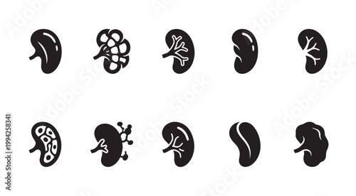 A collection of black and white icons depicting various kidney shapes and internal structures, perfect for medical and health-related designs.