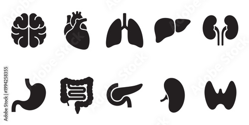 A clean, minimalist set of black silhouette icons representing various human organs on a white background.
