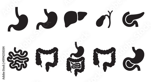 A collection of black silhouette icons representing various organs of the human digestive system on a clean white background, ideal for medical and educational use.