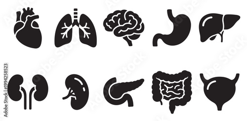 Collection of black silhouette icons representing various human organs, including the heart, lungs, brain, stomach, liver, kidneys, pancreas, intestines, and bladder on a white background.