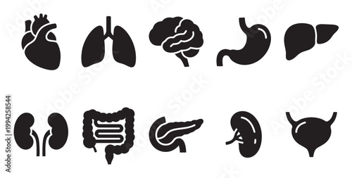 A collection of black vector icons representing human organs, including the heart, lungs, brain, stomach, liver, kidneys, intestines, pancreas, and bladder, on a white background.