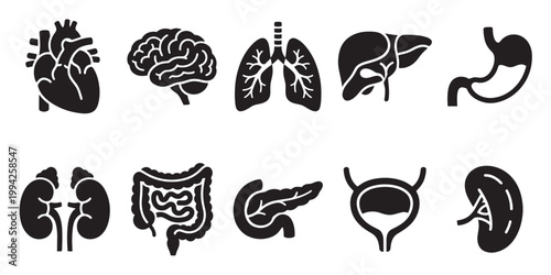 A collection of black silhouette icons representing various human organs, including the heart, brain, lungs, liver, stomach, kidneys, intestines, pancreas, and bladder.