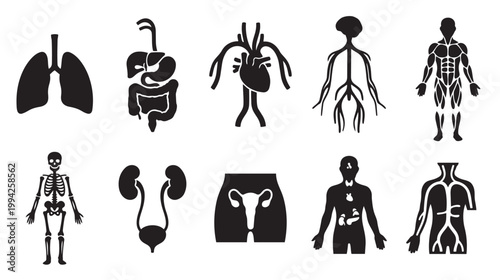 A collection of black and white silhouette icons representing various human anatomy organ systems, including respiratory, digestive, cardiovascular, nervous, skeletal, and reproductive systems.