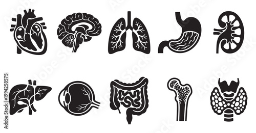 Collection of black and white silhouette icons representing various human organs, symbolizing health, anatomy, and medical science.