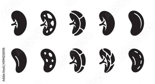 A set of black silhouette icons depicting various stages and cross-sections of human kidneys against a clean white background, ideal for medical or anatomical illustrations.