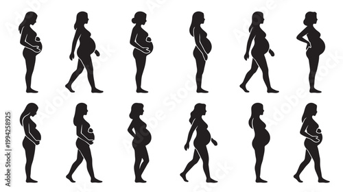 Collection of black silhouettes of pregnant women at different stages, showing progression of pregnancy over time with varied poses on a white background.