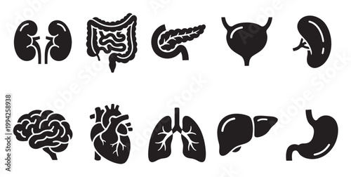 A collection of black and white vector icons representing various human internal organs, perfect for medical and educational illustrations.
