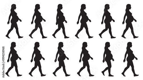 A series of black silhouettes of pregnant women walking, representing the progression of pregnancy and movement.