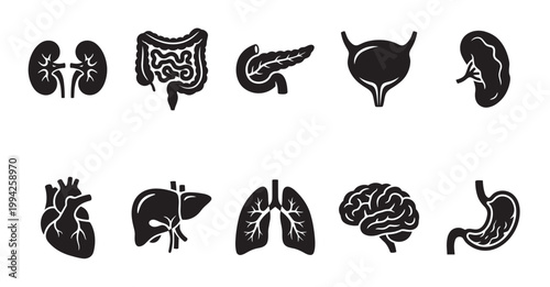 A collection of black silhouette icons representing various human organs, including the heart, lungs, brain, stomach, kidneys, and intestines, against a white background.