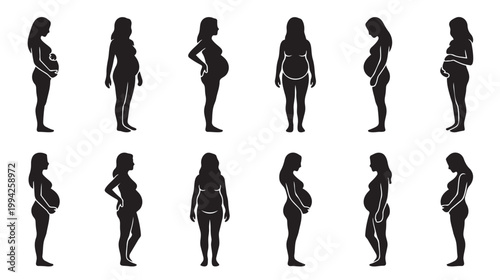 Collection of black silhouettes of pregnant women in profile and frontal views showcasing various stages of pregnancy and body shapes against a white background.