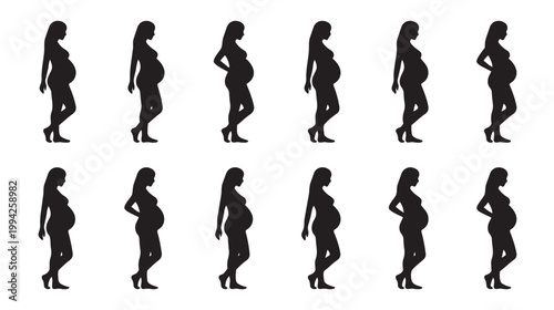 A graphic collection of black silhouettes showing a pregnant woman's body changing through trimesters, set against a clean white background.