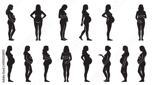 A collection of black silhouettes of pregnant women in different stages and poses, showcasing the journey of pregnancy from early to late term.