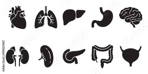 A collection of ten black silhouette icons representing vital human internal organs, including the heart, lungs, liver, stomach, brain, kidneys, spleen, pancreas, intestines, and bladder.