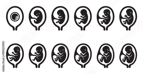 A series of black icons on a white background depict the progressive stages of human fetal development from conception to birth.