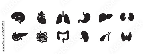A black and white graphic representation featuring a collection of simplified icons of various human internal organs, ideal for medical and educational contexts.