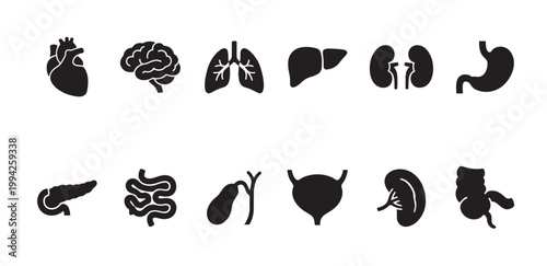 A collection of simple black icons representing various human organs on a clean white background, ideal for medical or educational presentations.